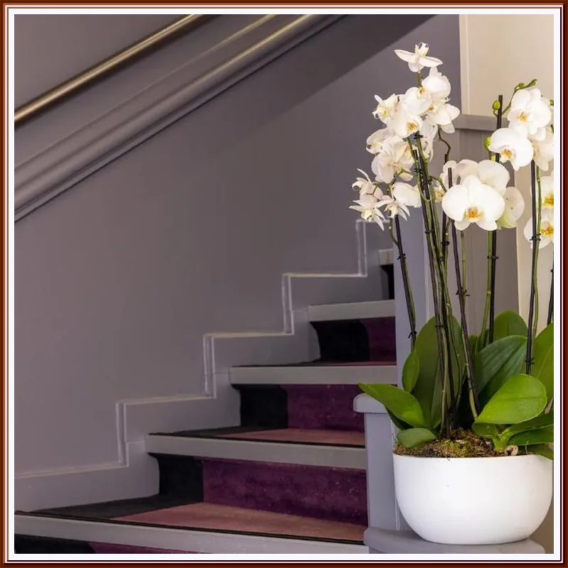 Hotel 64 Nice hotel view