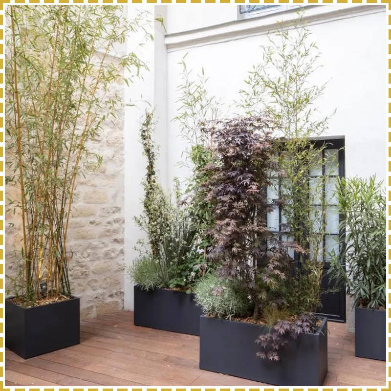 Hotel Parisianer hotel view