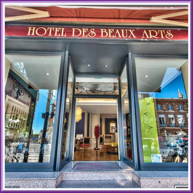 Hotel Des Beaux-Arts Toulouse hotel view