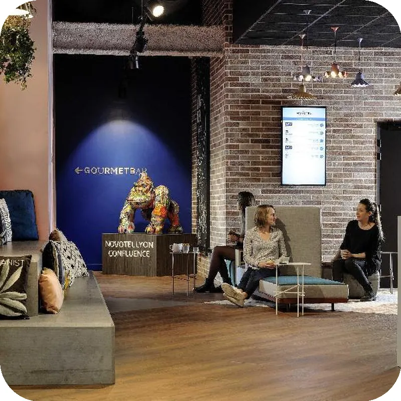 Novotel Lyon Confluence Hotel hotel view