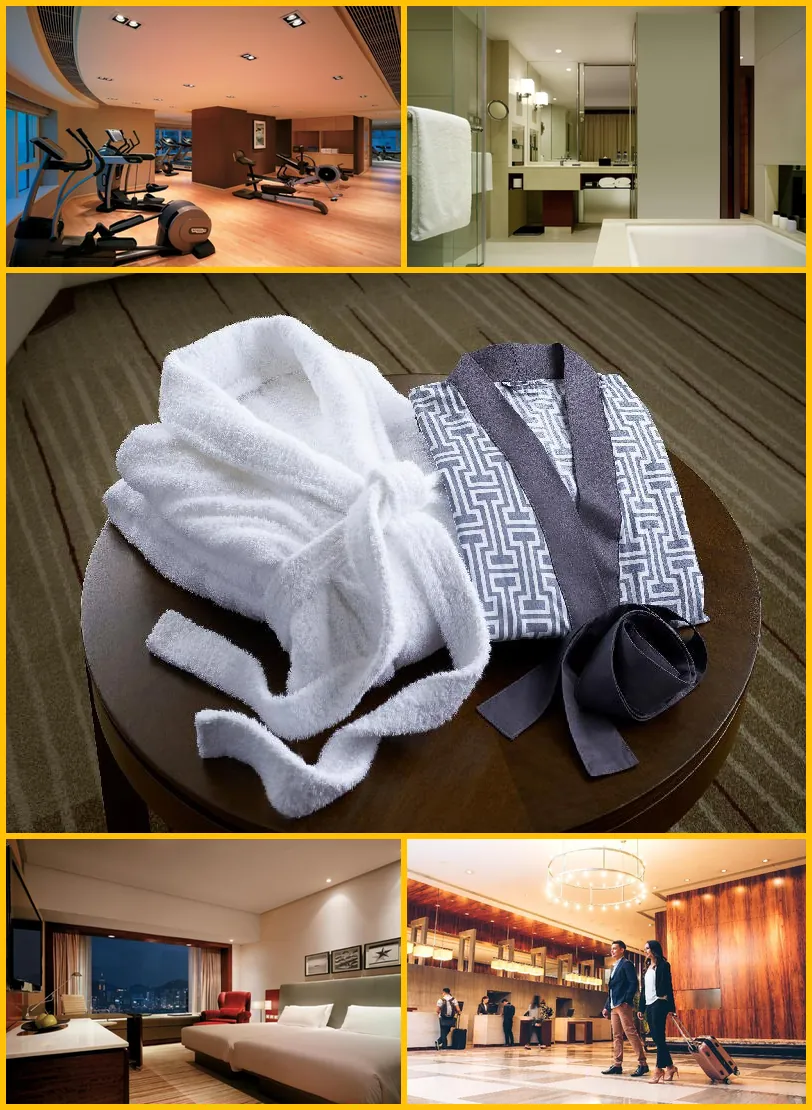 Hyatt Regency Hong Kong Tsim Sha Tsui hotel main view