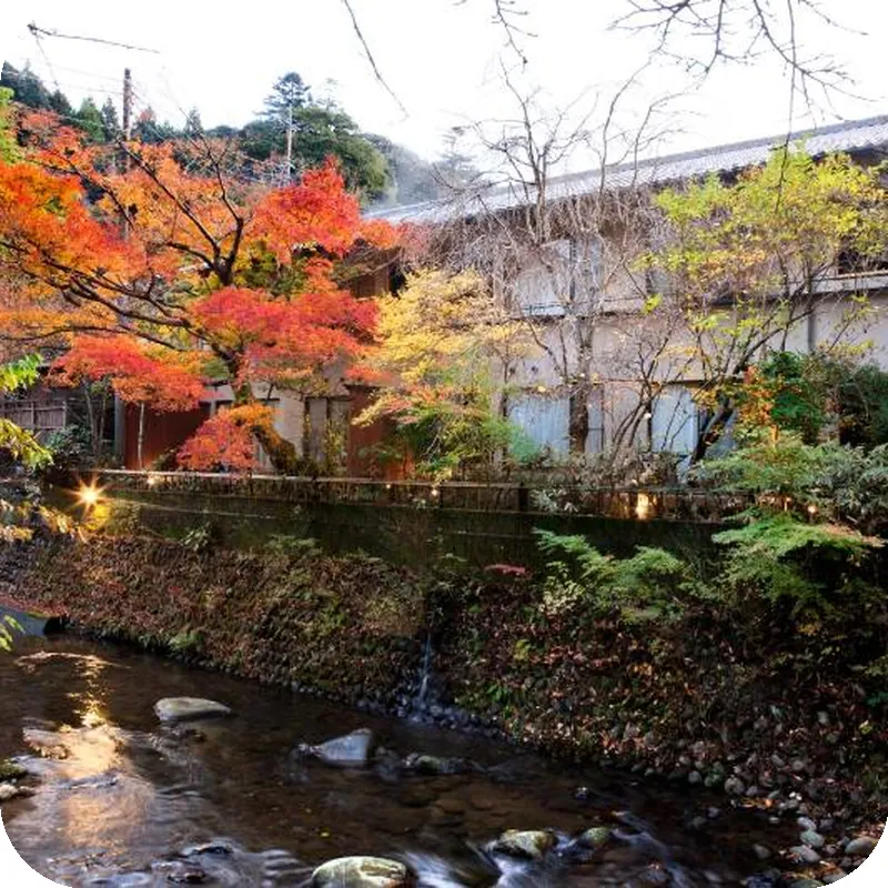 Tofuya Resort & Spa - Izu 호텔 시설 이미지