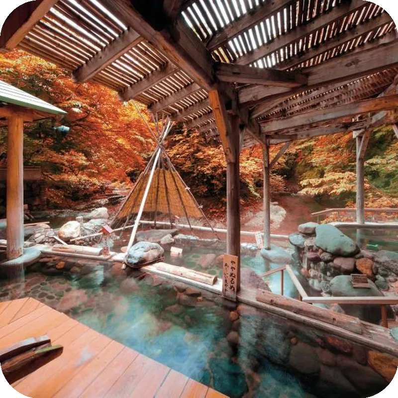 Sakunami Onsen Yuzukushi Salon Ichinobo hotel facilities