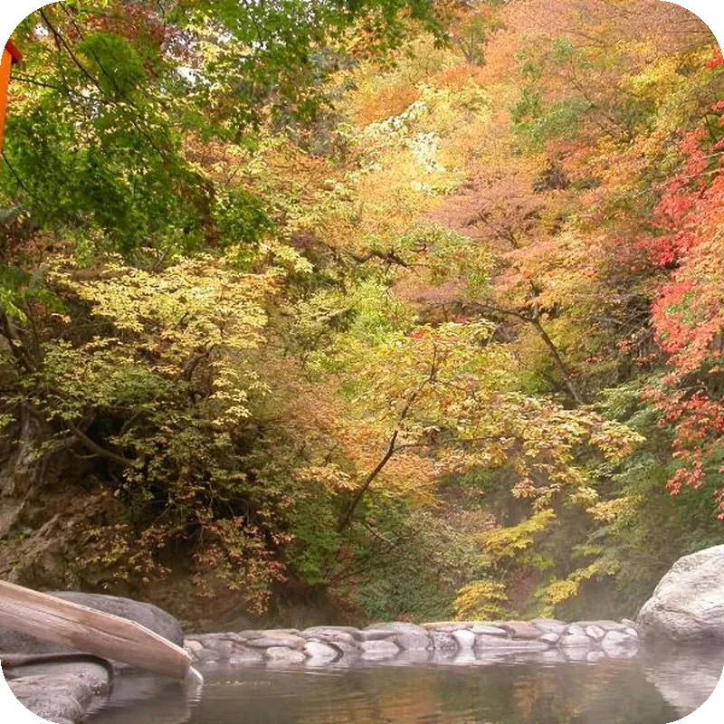 Sakunami Onsen Yuzukushi Salon Ichinobo hotel view