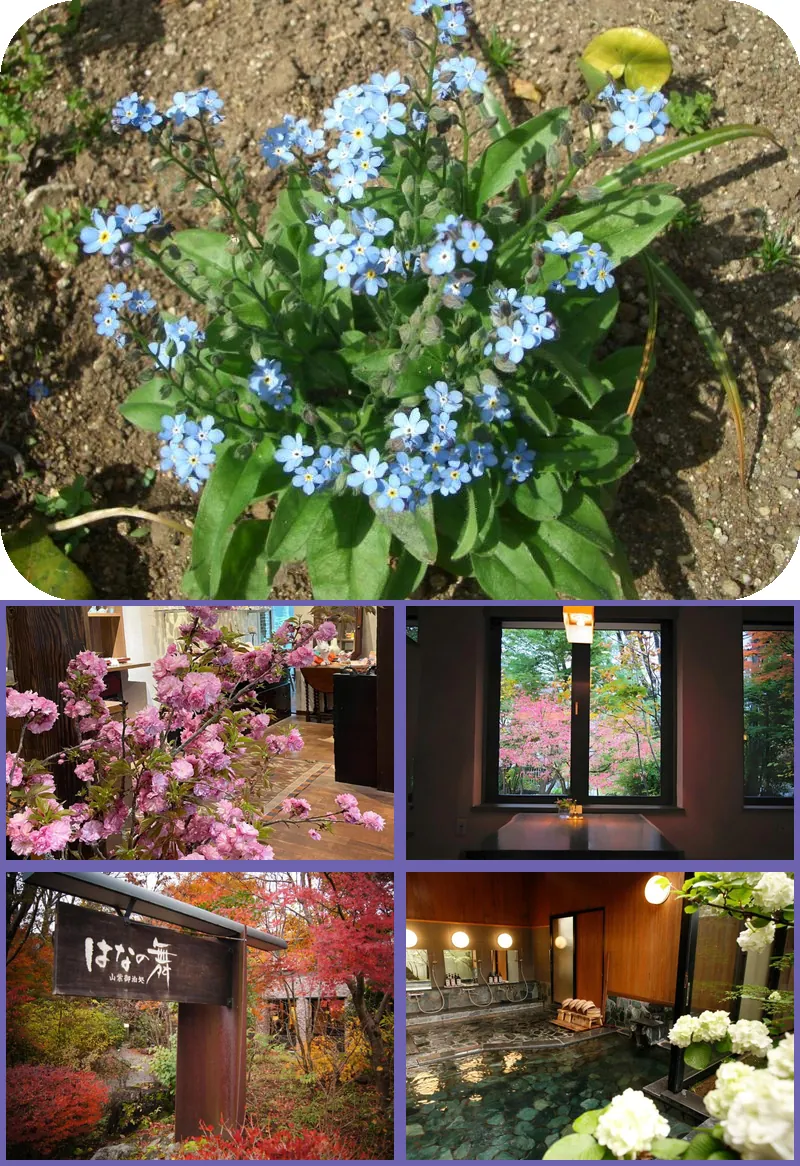 Yufuin Onsen Ryokan Hananomai 호텔 기타 이미지