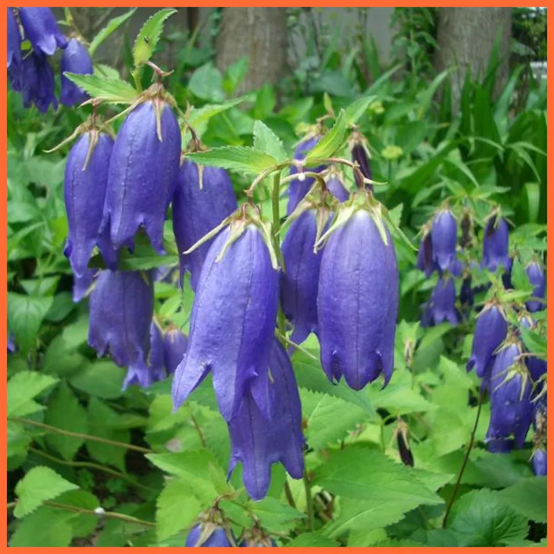 Yufuin Onsen Ryokan Hananomai 호텔 시설 이미지