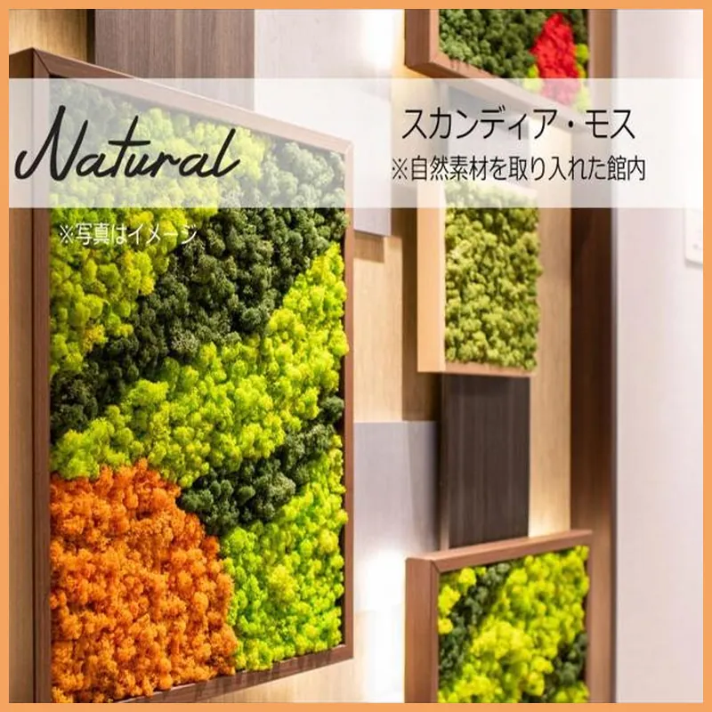 Super Hotel Beppu Ekimae 호텔 이미지