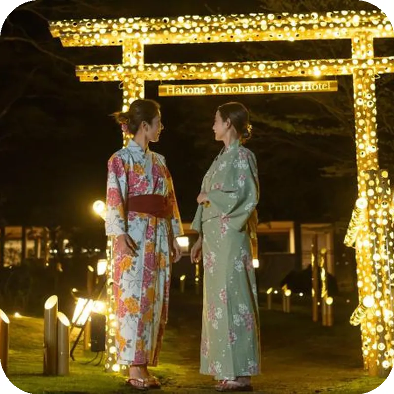 Hakone Yunohana Prince Hotel hotel view