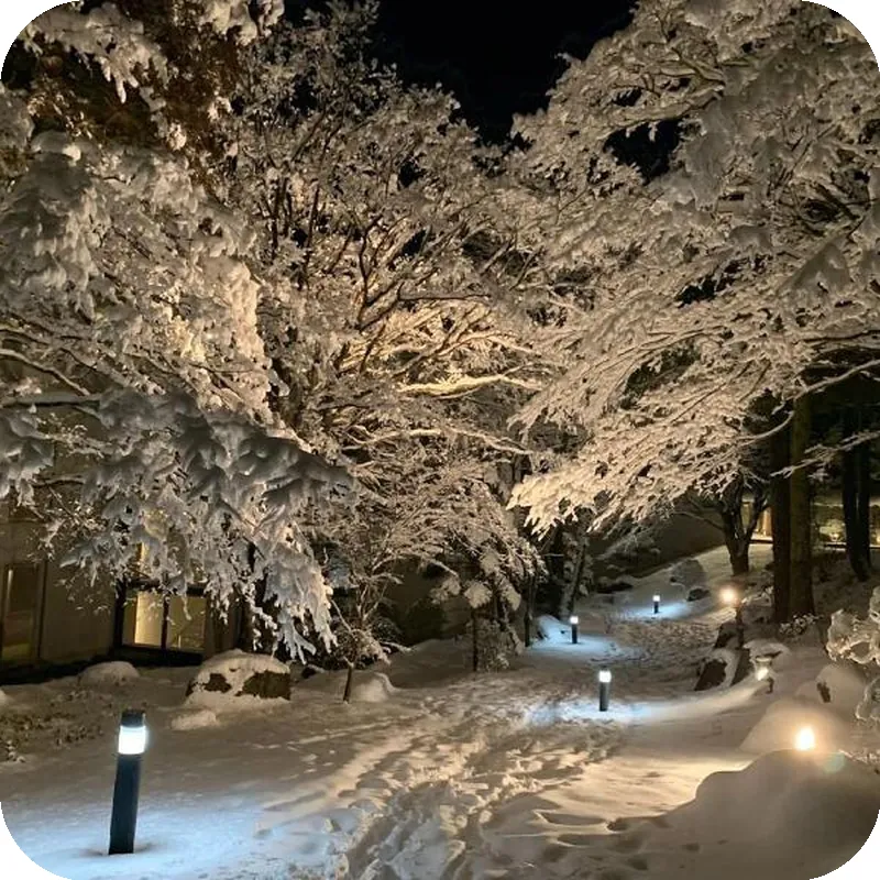 Hakone Yunohana Prince Hotel hotel view