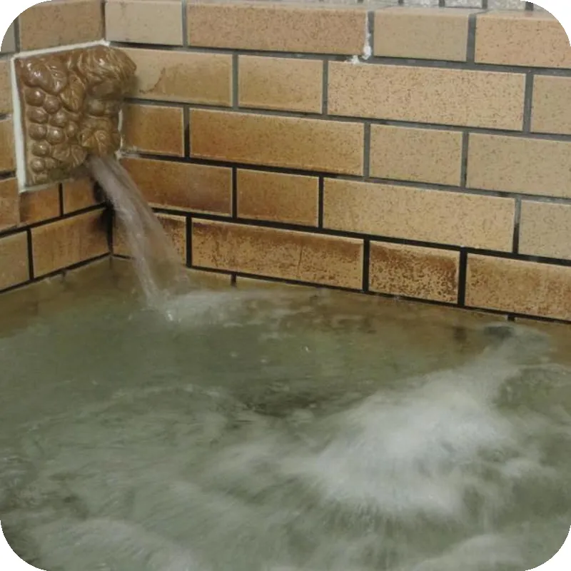 Ryoso Chatani hotel facilities