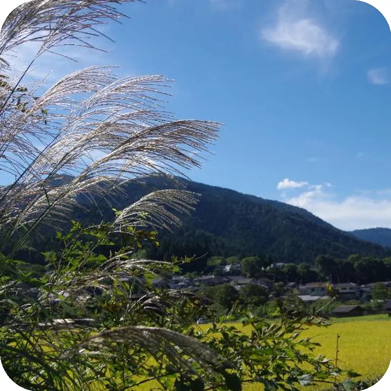 Ryoso Chatani hotel view