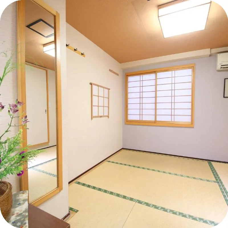 Ryokan Kamogawa Asakusa Hotel hotel view