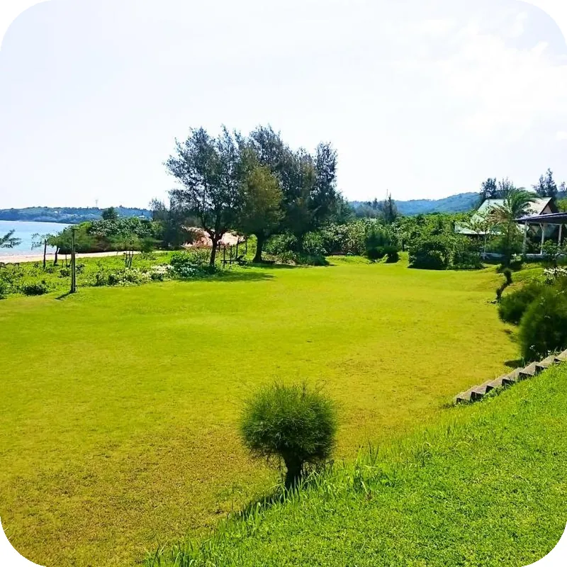 Garden Beach House 호텔 시설 이미지