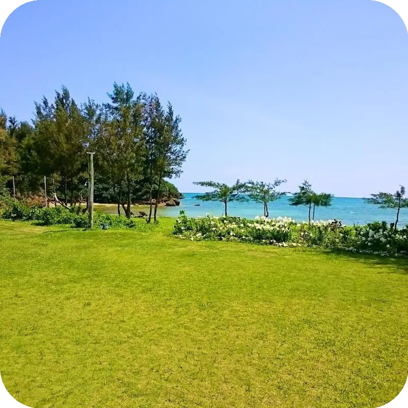 Garden Beach House 호텔 시설 이미지