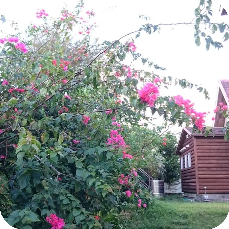 Garden Beach House 호텔 이미지