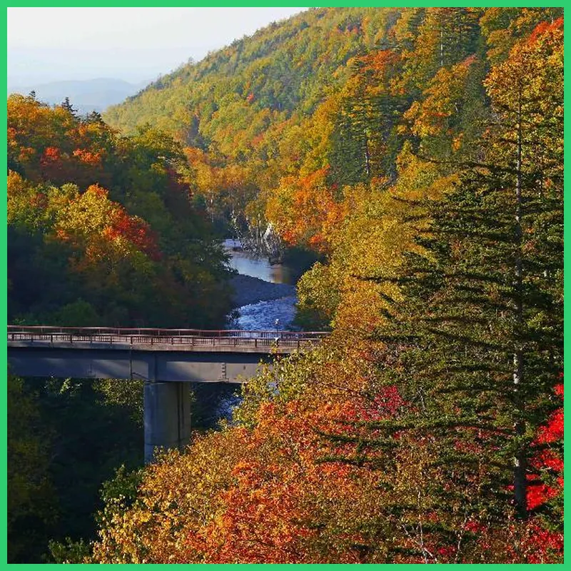 Hotel Park Hills 호텔 이미지