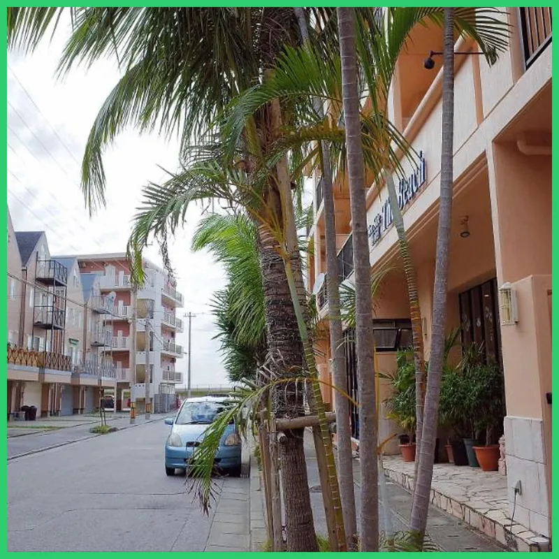 Seaside Hotel The Beach 호텔 이미지
