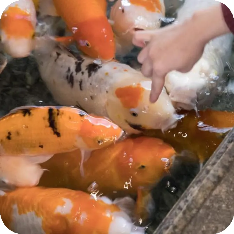 Gekkoen Yugetsusanso Hotel 호텔 시설 이미지