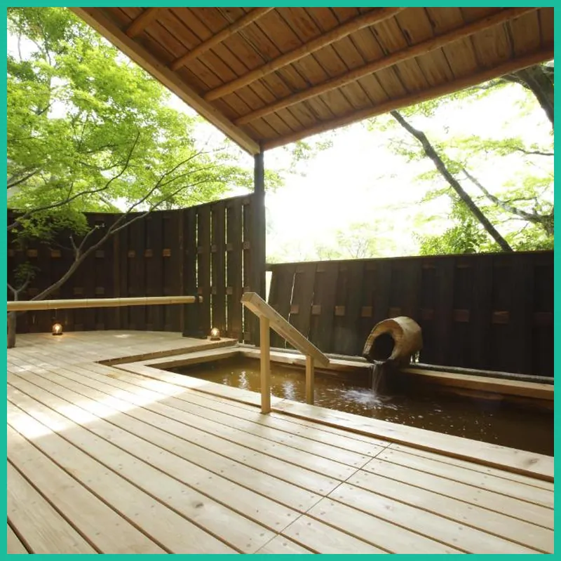 Negiya Traditional Japanese Spa Ryokan hotel facilities