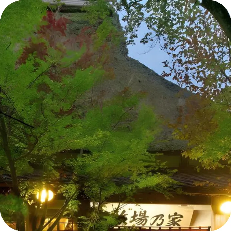 Ryokan Makibanoie hotel view