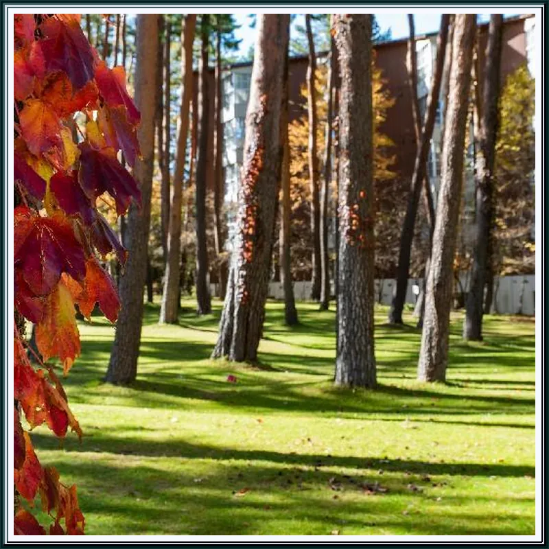Fuji Premium Resort hotel facilities