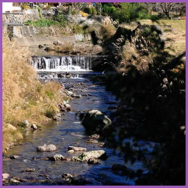 The Lodge MIWA 호텔 이미지