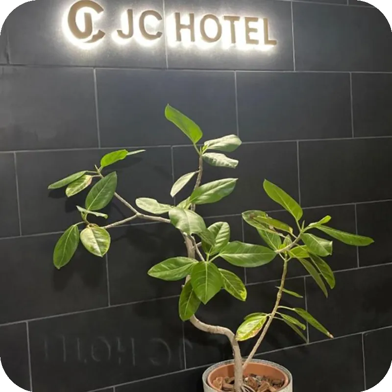 JC Hotel Naha 호텔 이미지
