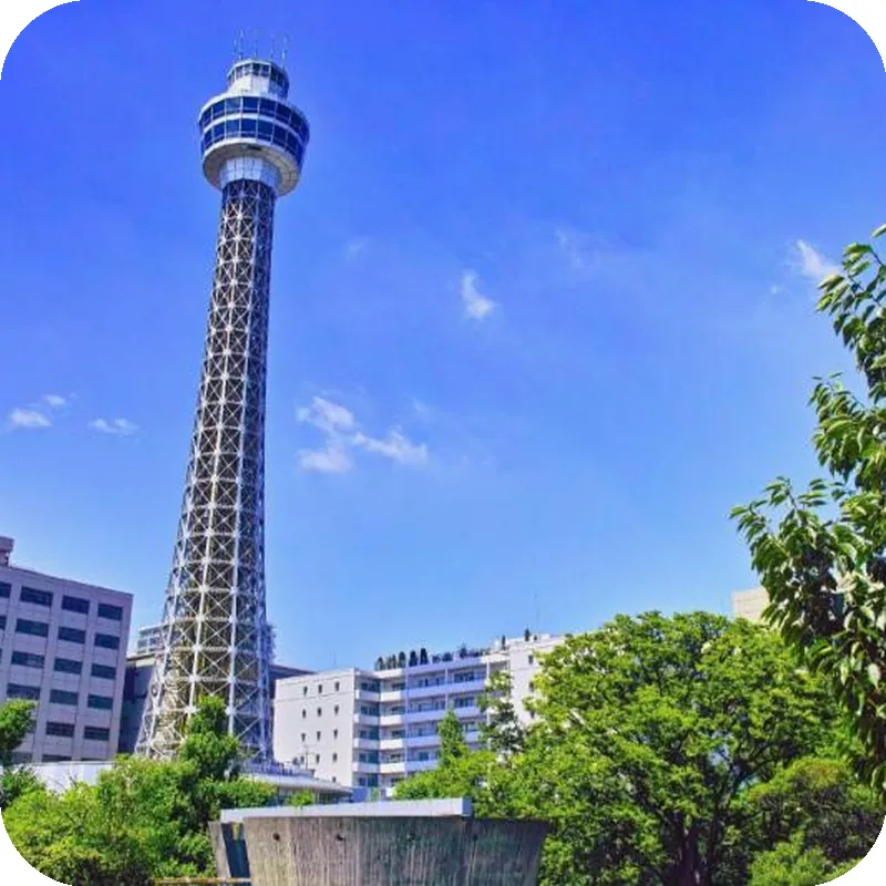 Sotetsu Fresa Inn Yokohama Sakuragicho 호텔 이미지