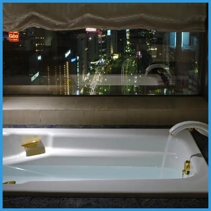 Dai-ichi Hotel Tokyo hotel room