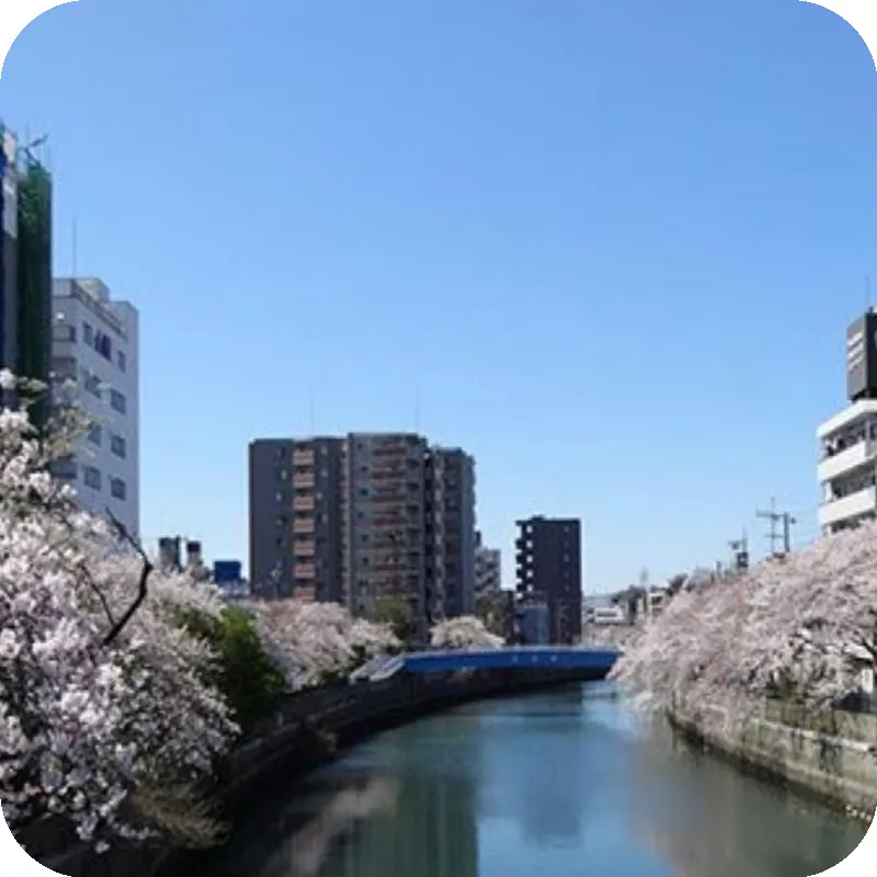 HOTEL MYSTAYS Yokohama 호텔 시설 이미지