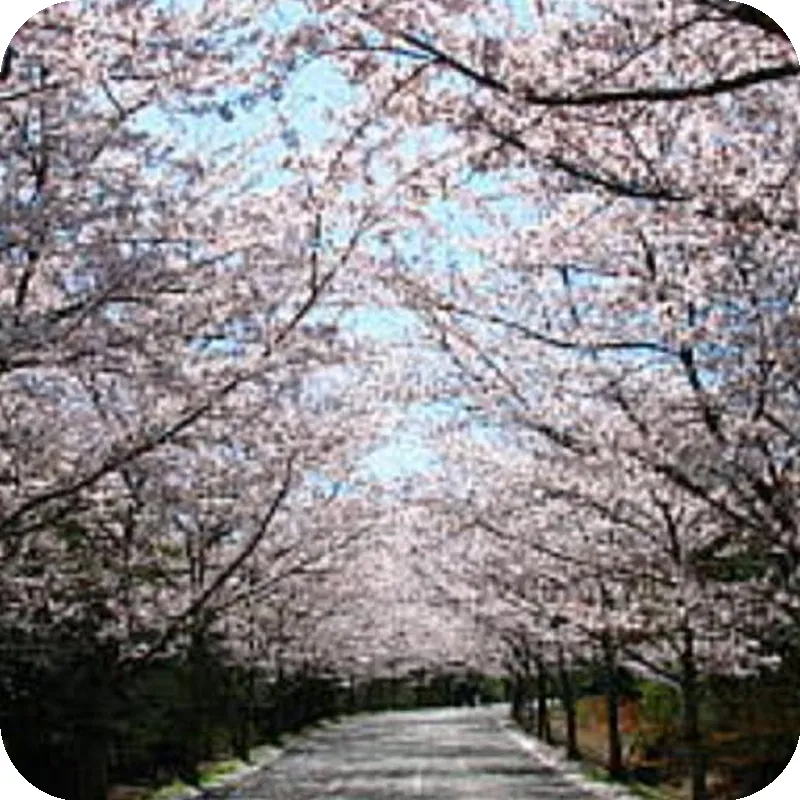 Shoutou ホテル外観