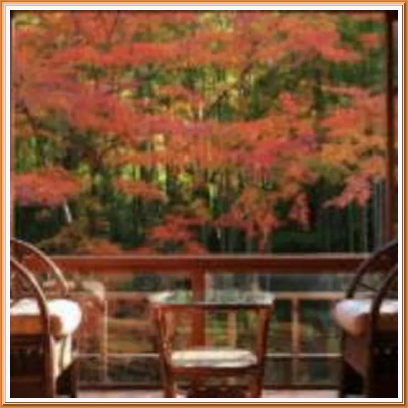 Arai Ryokan hotel view