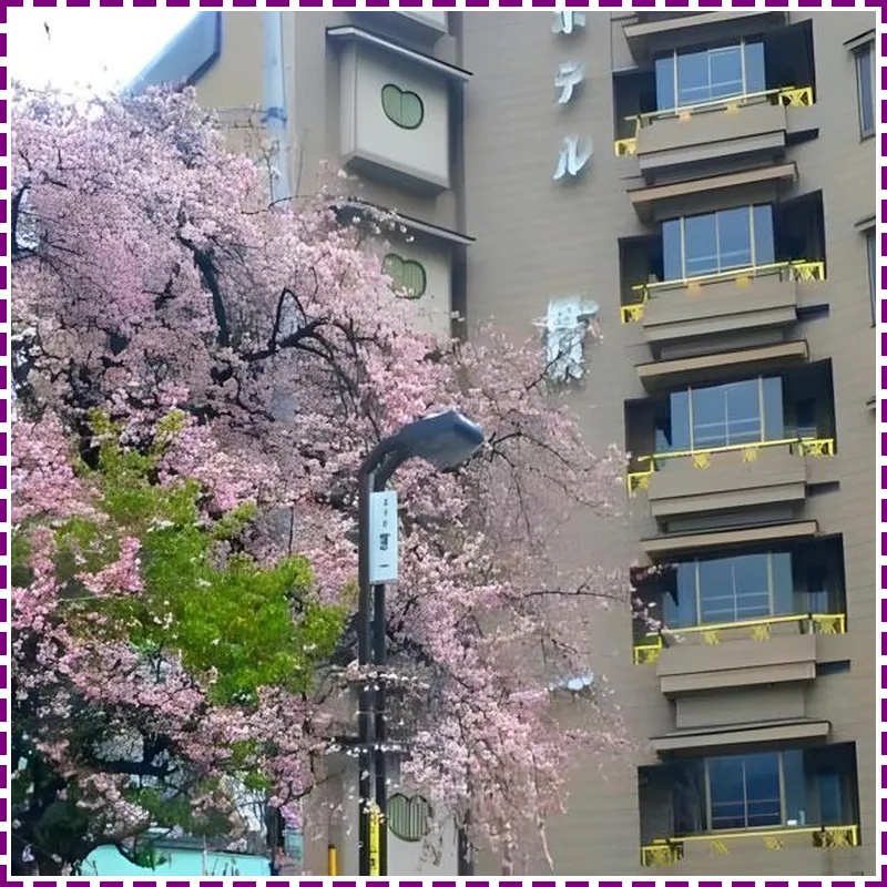 Hotel Kanichi 호텔 이미지