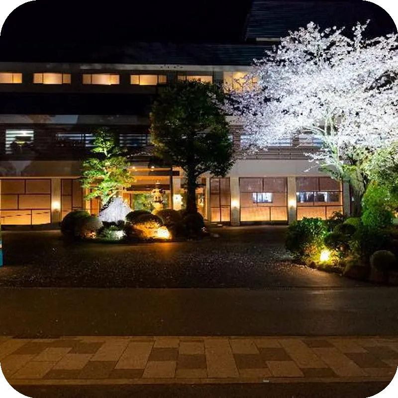 Yoshiike Ryokan hotel view