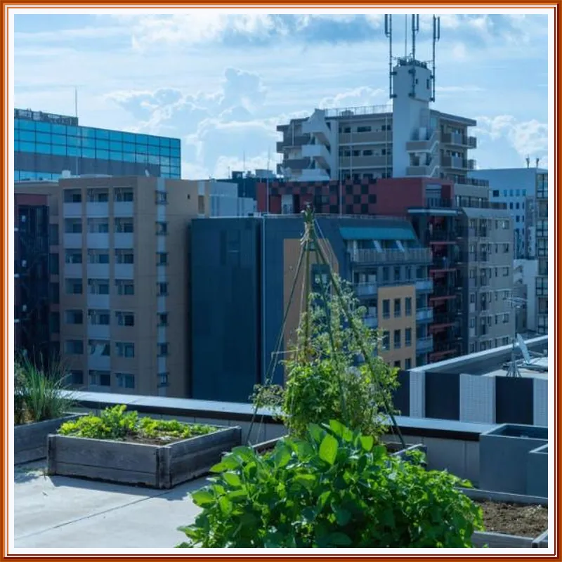 HOTEL GREAT MORNING 호텔 이미지