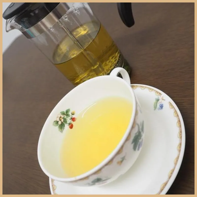 Guesthouse Sea Turtle 호텔 시설 이미지