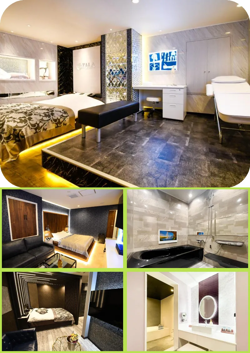 Hotel ZALA 호텔 기타 이미지