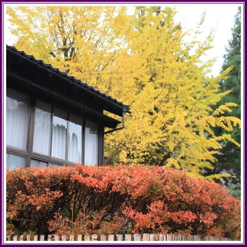 Motoyu Ishiya hotel view