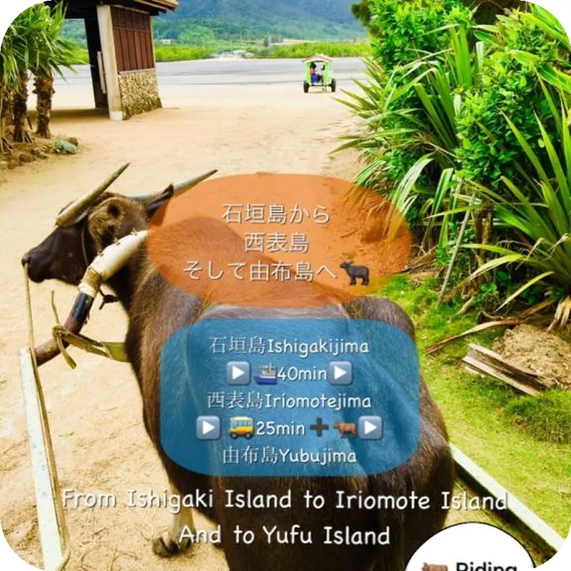 ISHIGAKIJIMA Hotel East China Sea 호텔 시설 이미지