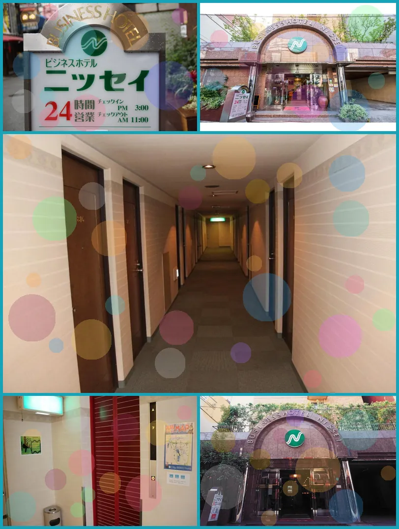 Business Hotel Nissei 호텔 기타 이미지