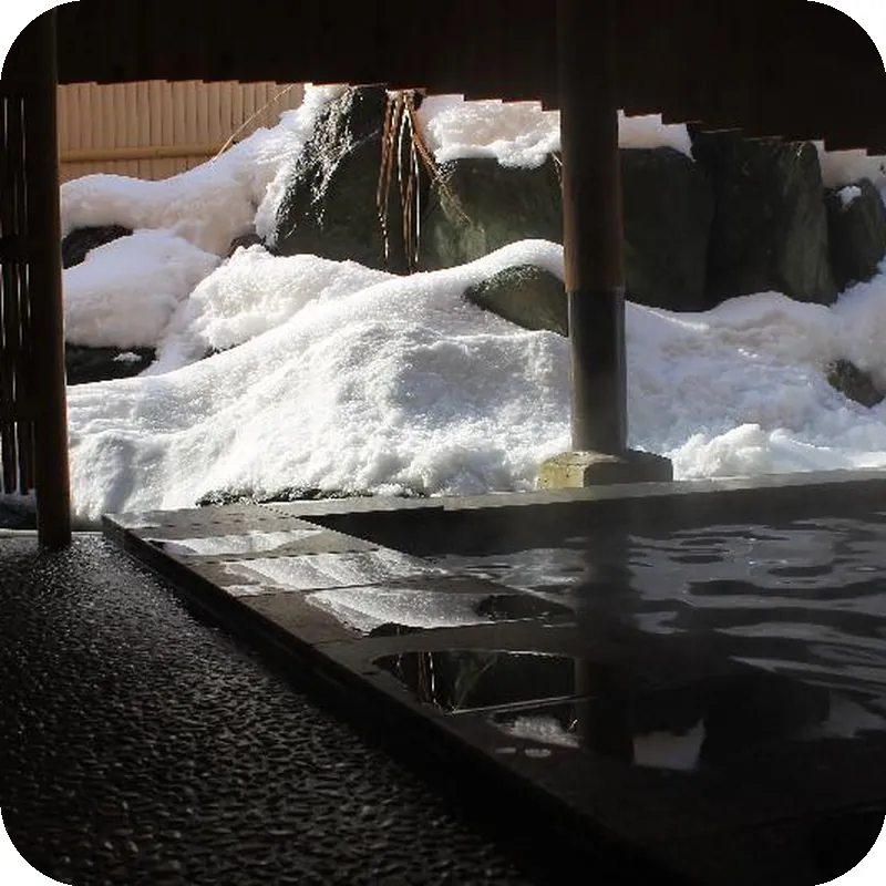 Echigo Yuzawa Onsen Sakura Tei Ryokan 호텔 시설 이미지