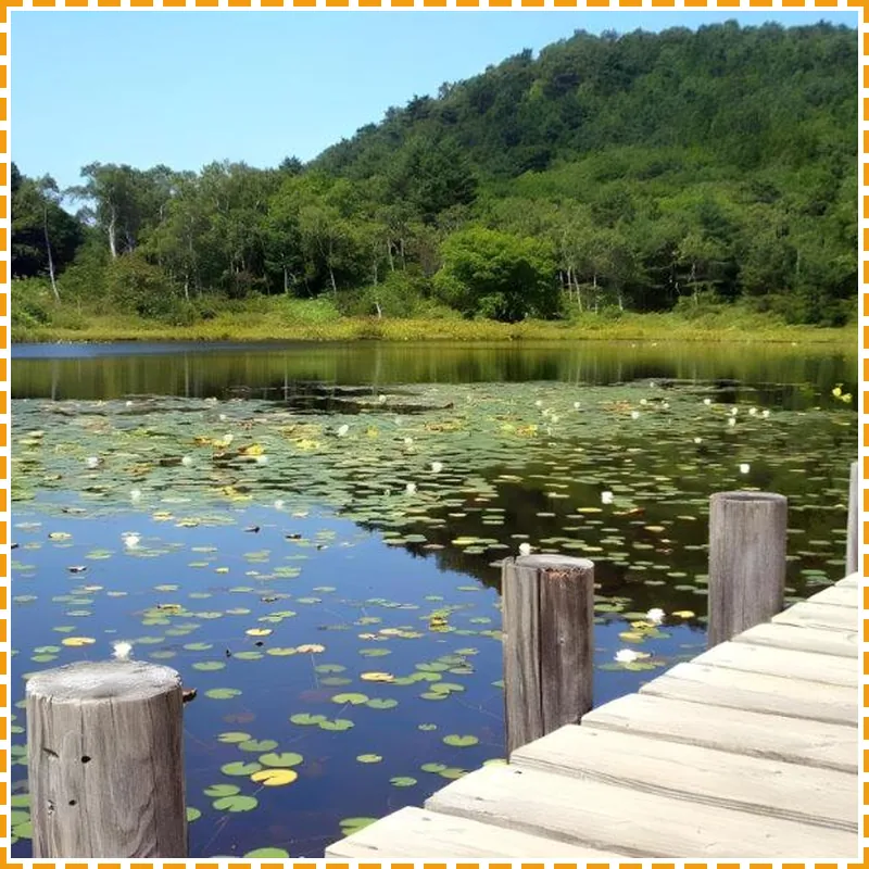 Shiga Skyland Hotel 호텔 시설 이미지