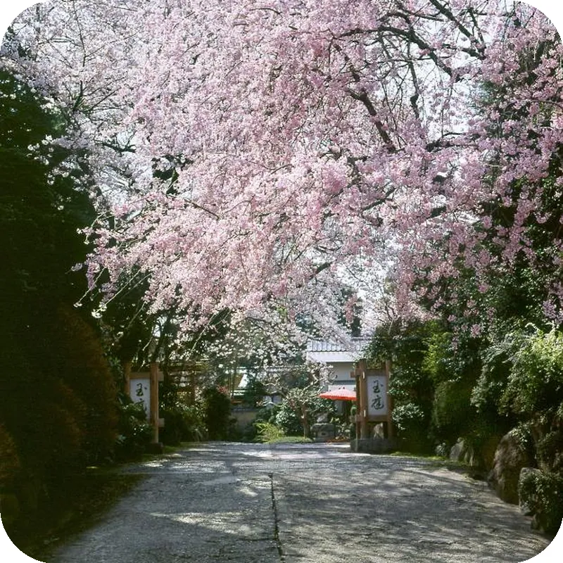 Ryokan Gyokutei hotel facilities