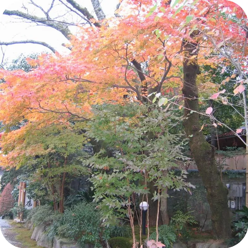 Ryokan Gyokutei hotel room