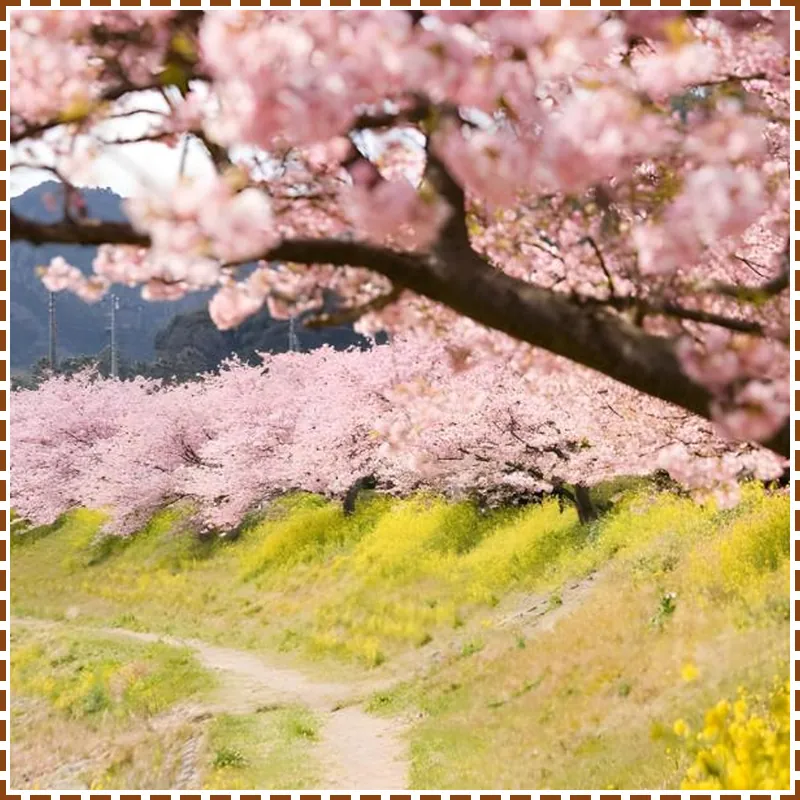 Imaiso hotel facilities