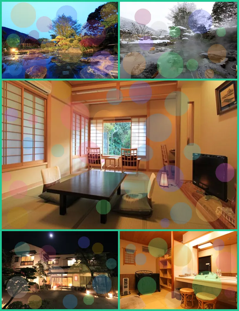 Onsen Ryokan Yusakaso hotel main view