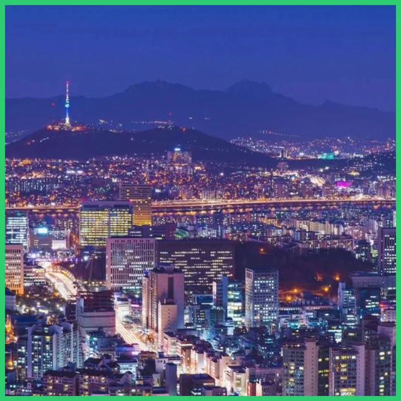 NINE TREE BY PARNAS SEOUL DONGDAEMUN hotel view