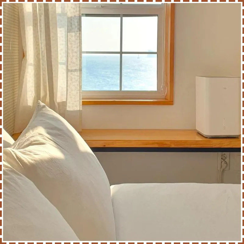 jejuneulbo's afternoon hotel room