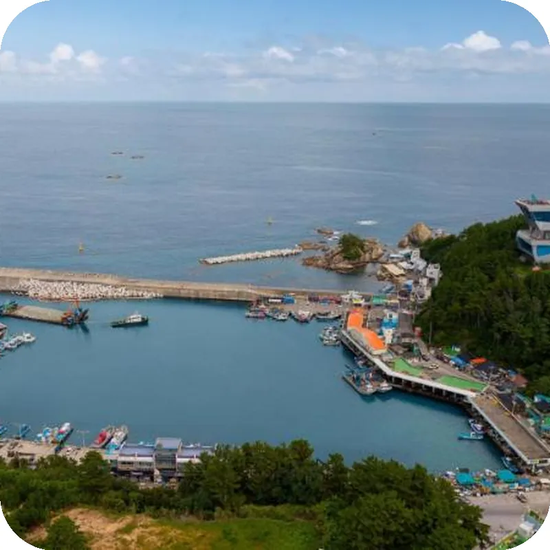 Samcheok sky Pension hotel view