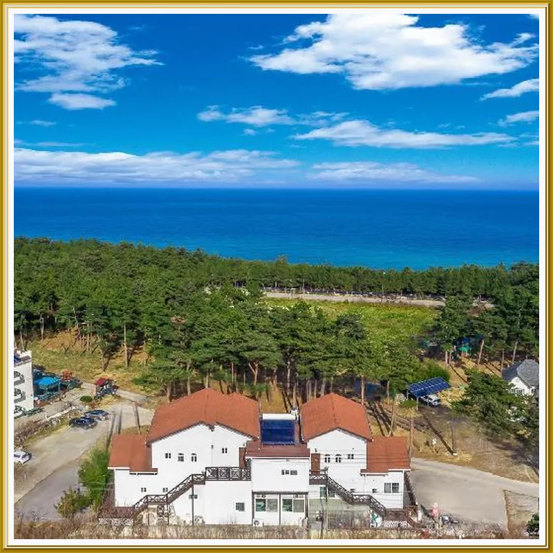 The Gangneung Foret Pension hotel view